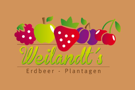 Weilandts logo